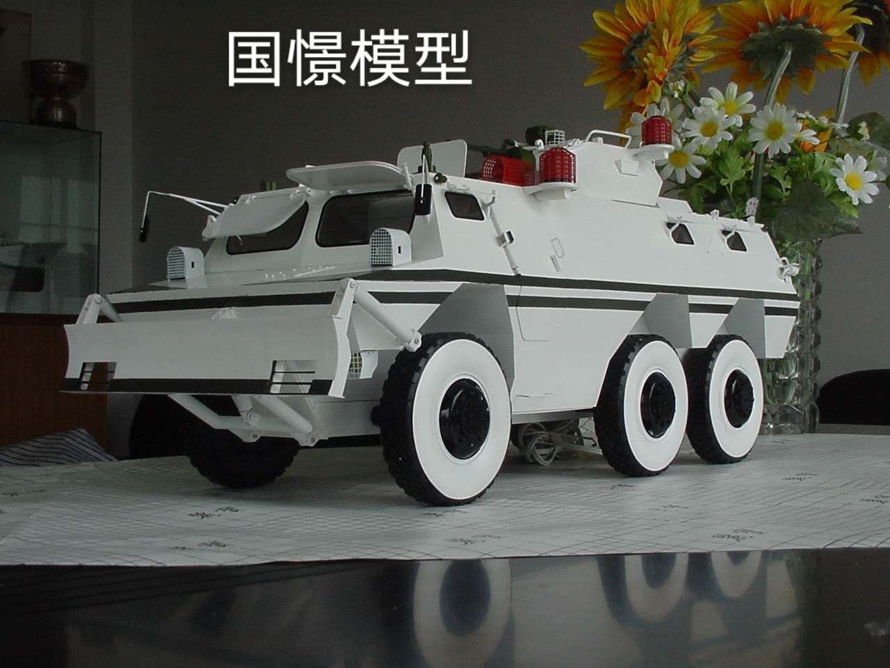 韶山市军事模型